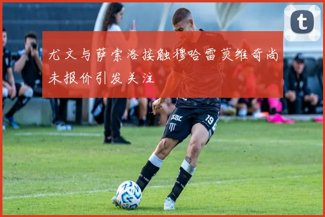 尤文与萨索洛接触穆哈雷莫维奇尚未报价引发关注
