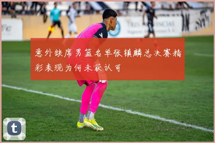 意外缺席男篮名单张镇麟总决赛精彩表现为何未获认可