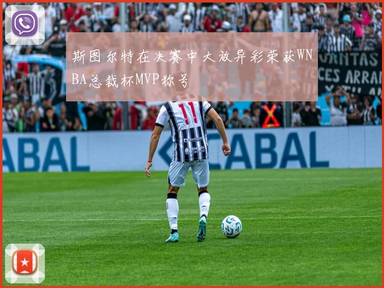 斯图尔特在决赛中大放异彩荣获WNBA总裁杯MVP称号